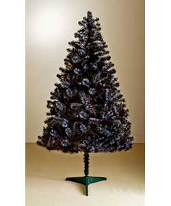 1.8m/6ft Black Ash Tree