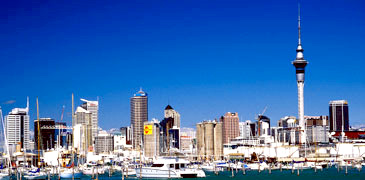 Unbranded 1 Day Auckland Discovery Tour