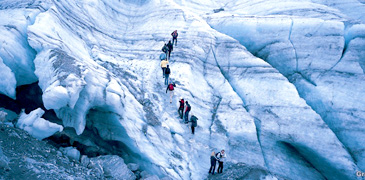 Unbranded 1 Day Fox Glacier Walk