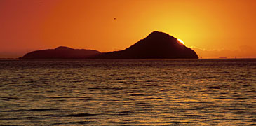 Unbranded 1 Day Port Stephens   Nelson Bay Adventure