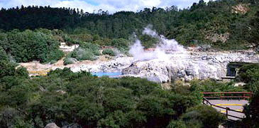 Unbranded 1 Day Waitomo   Rotorua Tour