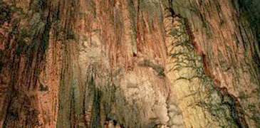 Unbranded 1 Day Waitomo Tour