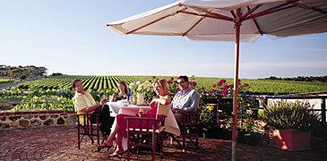 Unbranded 1 Day Wine Water   Wildlife