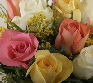 Unbranded 10 Autumnal Roses