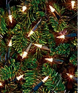 Unbranded 100 Fairy Lights