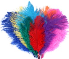 12 Inch Chick Feathers (Pk 10) Assorted