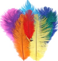 These gorgeous chick or ostrich feathers are available in 10 vibrant colours.  Black and White not