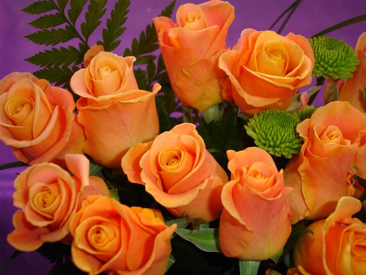 Unbranded 12 Orange Roses with Foliage