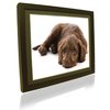 This 12 inch Black frame has a very modern look made from wood with a Black finish. With a resolutio