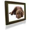 Unbranded 12```` Pictorea Pro  Digital Photo Frame (Black