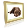 Unbranded 12```` Pictorea Pro Digital Photo Frame (Light