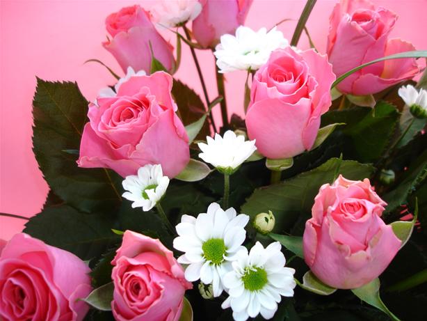 Unbranded 12 Pink Roses with Foliage