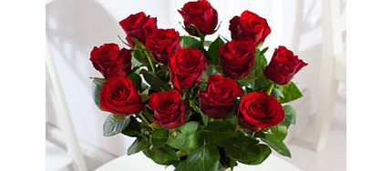 Unbranded 12 Red Roses - As seen on TV!