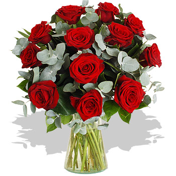 Unbranded 12 Red Roses and Cinera - flowers