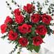 A dozen beautiful red roses complimented by subtle Eucalyptus. Price includes free chocolates and