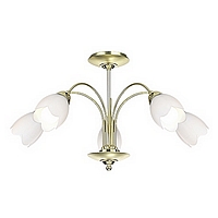 Unbranded 123 5 - 5 Light Satin Brass Ceiling Light