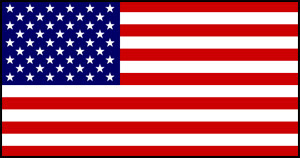 13ftx10flags USA bunting