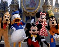 Unbranded 14 Day Disneys Ultimate Pass Adult Ticket