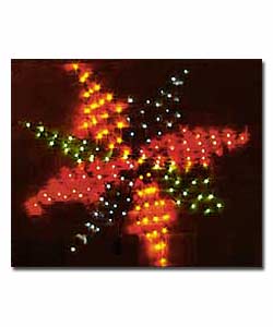 Fairy Illuminations Lights Christmas