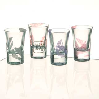 18th Birthday Lips Shot Glasses