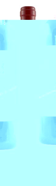 Unbranded 1996 Chandacirc;teau Land#39;Evangile