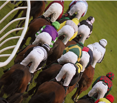 Unbranded 2 for 1 Horse racing