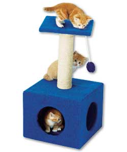 Includes scratching post, play platform and 60cm h