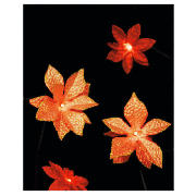 Unbranded 20 B/O Poinsettia Lights