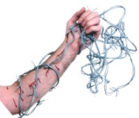 20 inch Barbed Wire assorted