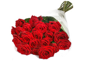 Unbranded 20 Luxury Red Roses