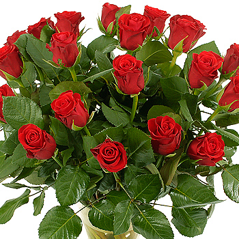Unbranded 20 Red Roses - flowers