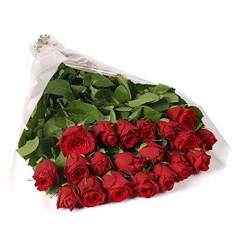Unbranded 20 Short Stem Red Roses Gift Wrap - flowers