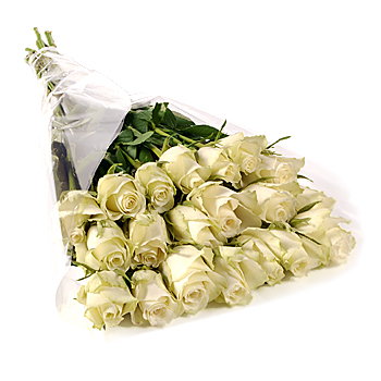 beautiful white rose flowers. Stem White Roses Gift Wrap