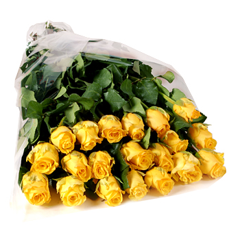 Unbranded 20 Short Stem Yellow Roses Gift Wrap - flowers