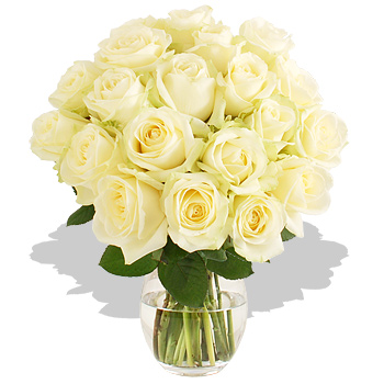 Unbranded 20 White Avalanche Roses - flowers