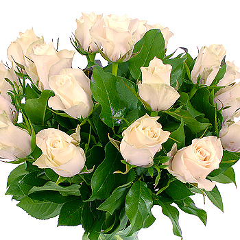 Unbranded 20 White Roses - flowers