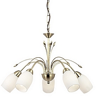 Unbranded 2007 5SB - 5 Light Satin Brass Hanging Light