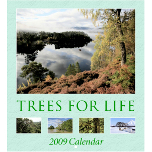 Unbranded 2009 Calendar