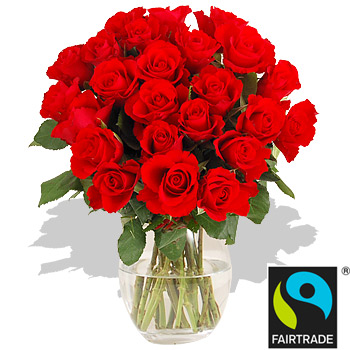 Unbranded 24 Fairtrade Red Roses - flowers