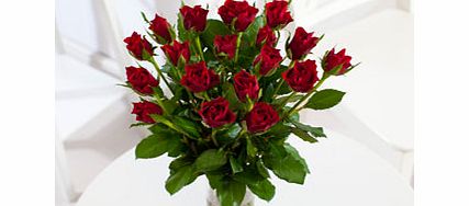 Unbranded 24 Red Sweetheart Roses