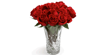 Unbranded 24 Rose Bouquet