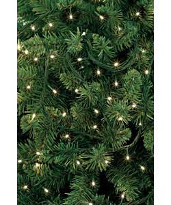 Low voltage powered.10m lead.11.9m chain.Clear bulbs.8 function lights.Indoor/outdoor use