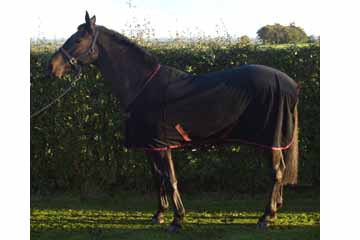 NEW IN                         BOX                                                                  