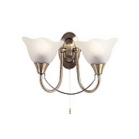Unbranded 295 2AN - 2 Light Antique Brass Wall Light