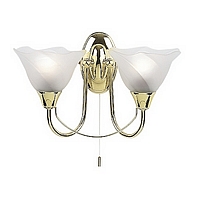 Unbranded 295 2BP - 2 Light Polished Brass Wall Light