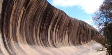 Unbranded 3 Day Wave Rock Albany   Tree Top Walk