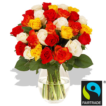 Unbranded 30 Fairtrade Mixed Roses - flowers
