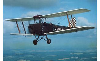 Unbranded 30 Minute Tiger Moth Flight