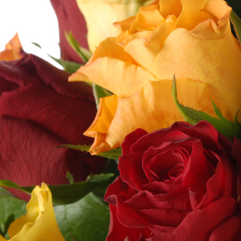 Unbranded 30 Mixed Roses Value Bouquet - flowers