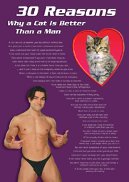 30 Reasons - Cat Poster